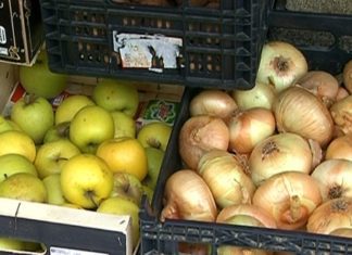 Aprendendo a non estragar comida no Día Mundial da Alimentación