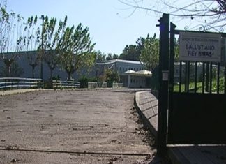Colexios do Barbanza repartirán froita fresca ó alumnado