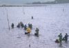 A Fangueira xa está dividida e reaberta ó marisqueo
