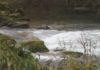 Paso adiante para o proxecto de recuperación integral do río Arlés