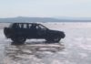 Mar sementa 800 quilos de ameixa comisada nunha zona de libre marisqueo