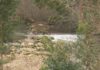 Arranca a tempada de pesca de reo e salmón con 28.000 permisos