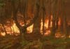 Imputada unha veciña de Ribeira como presunta autora dun incendio