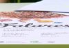 Os ‘Sete Falares’ volven a Pontevedra con historias do mundo