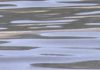 Augas de Galicia elimina dous vertidos contaminantes en Boiro