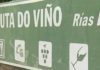 Vintesete adegas da D.O. Rías Baixas lucirán encantos nunha xornada de portas abertas