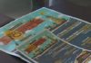 A Illa prepárase para que o Festival do Norte duplique a súa poboación