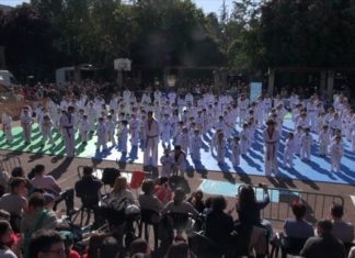 Yidam e TAO A repártense os podios do Galego de Taekwondo
