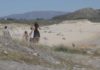 Trasladan ó CHUS a unha bañista por parada cardíaca