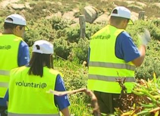 Centos de voluntarios defenderon os ecosistemas das Illas Atlánticas