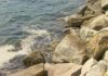 As inmediacións do porto de Cabo, vítimas dun novo vertido