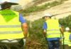 Amicos traballa na conservación da illa de Sálvora