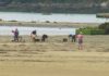 Guerra aberta entre os furtivos e a confraría de Cabo