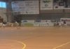 O Noia medirase ó Santiago Futsal nos dezaseisavos da Copa do Rei