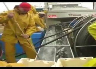 O cerco galego defende a reapertura da anchoa