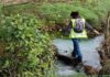 Vinte e tres empresas optan a acometer a recuperación do río Arlés