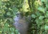 Inician o pago das expropiacións do proxecto medioambiental do río Arlés