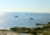 Mal arranque do libre marisqueo na ría de Arousa