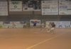 O Noia recibirá ó Santiago Futsal nos dezaseisavos de final da Copa do Rei