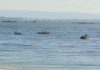 A escasa produtividade plantexa o peche do libre marisqueo