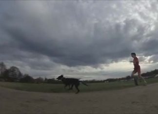 Arousa Norte desenvolverá en marzo un Campionato de Mushing