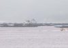 A marea vermella paraliza a extración de mexillón e bivalvo na ría de Muros