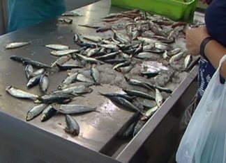 A noite de San Xoán dispara o prezo da sardiña ata os 15 euros por quilo