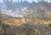 A Xunta segue a insistir na intencionalidade da maioría dos incendios