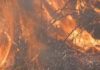 Tensión en Insuela ante un incendio moi próximo ás vivendas