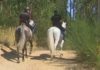 A unidade policial de cabalería patrulla os montes do Barbanza para previr lumes