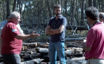Varela pide que se revisen os protocolos de emerxencias tralo incendio en Cortegada