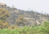 Fin de semana negra con setenta e cinco incendios nos montes galegos