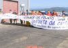 Autorizada a pesca de bocarte tralo peche provisional para o reconto da cota