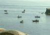 A maioría dos pósitos arousáns rexeitan a xestión conxunta do libre marisqueo