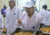 Rosa Quintana destaca o peso do Barbanza na industria mexilloeira