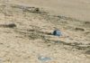 Cidadáns anónimos desenvolverán unha limpeza no areal de Coroso