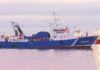 A flota galega disporá de máis cota de xurelo pero descende a pescada e o lirio