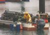 Rouban 150 quilos de marisco en varias embarcacións de Ribeira