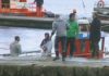 Descontento polos criterios para acollerse as axudas do libre marisqueo