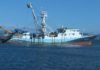 Aparece o cadáver dun polisón nun barco atuneiro atracado no porto da Pobra