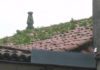 O BNG denuncia o deterioro actual da Torre de Bermúdez