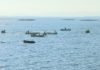 A falta de vixilancia condicionou a campaña de libre marisqueo