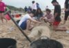A praia da Lanzada viviu esta mañá unha invasión alieníxena