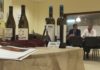 Terra de Asorei invita á reflexión no Foro do Albariño