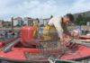 A escaseza de bivalvo lastra a campaña dos mariscadores a flote