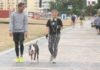 Costas financiará a reforma do paseo marítimo de Vilagarcía despois do verán