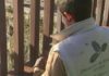 Setenta desempregados do Barbanza formaranse en catro obradoiros