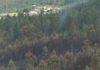O incendio de Nebra calcinou cincuenta hectáreas de monte arborado