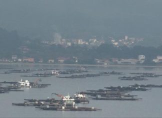 A marea vermella obriga a pechar dous polígonos na ría de Muros
