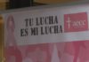 Pontevedra tínguese de rosa neste 19 de outubro